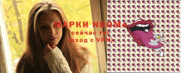 стафф Надым