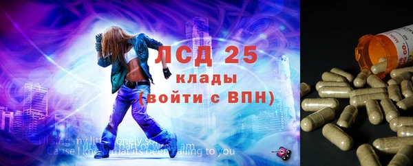 стафф Надым