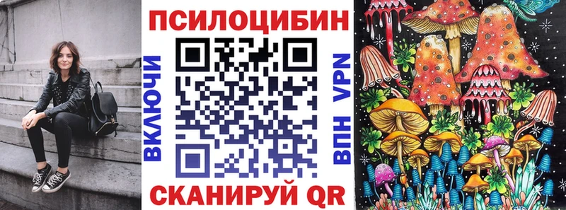 Псилоцибиновые грибы MAGIC MUSHROOMS где купить наркотик Агрыз
